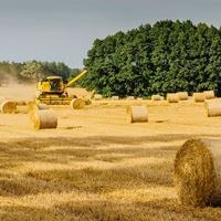 EU outlines plans to enhance food security